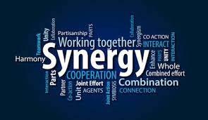 Meaning of Synergy