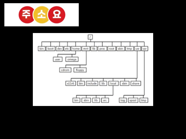주소요 링크 모음 활용 예시 – 엔터테인먼트·생활 정보·커뮤니티 접근
